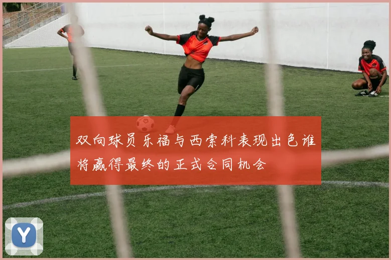 双向球员乐福与西索科表现出色谁将赢得最终的正式合同机会