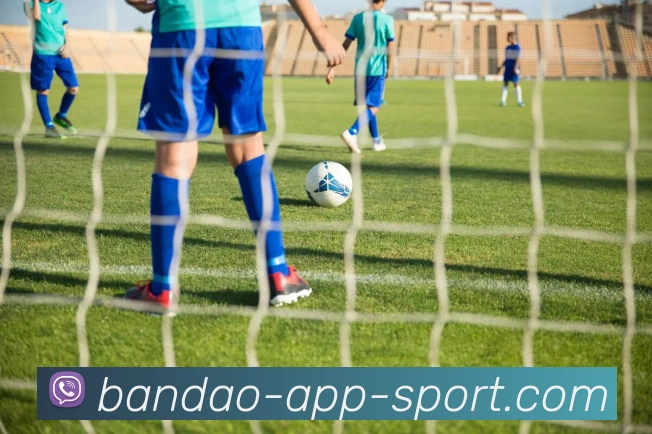 半岛体育平台生态图